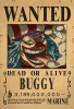 POSTER BUGGY ONE PIECE1