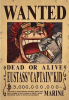 POSTER Eustass Kid - ONE PIECE1