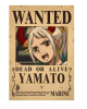 POSTER YAMATO ONE PIECE1