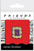 PIN OFICIAL FRIENDS - FRAME1