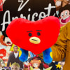 PELUCHE BT21 TATA1