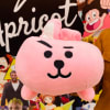 PELUCHE BT21 COOKY1
