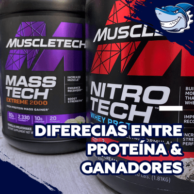 Diferencia entre ganador de masa y proteína