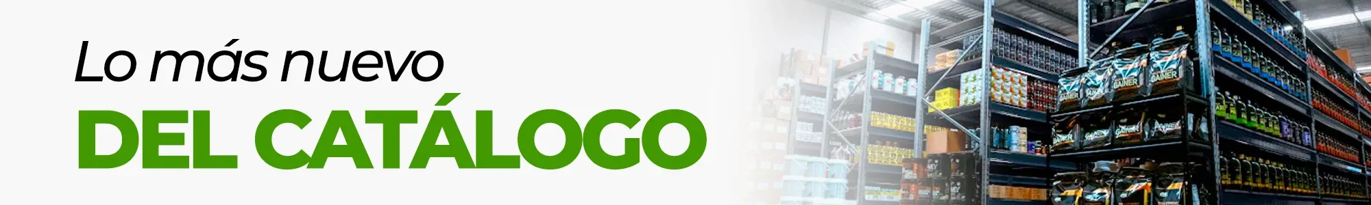 Recién llegados