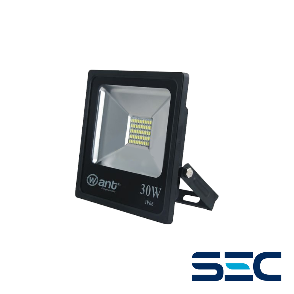 FOCO 30W SMD