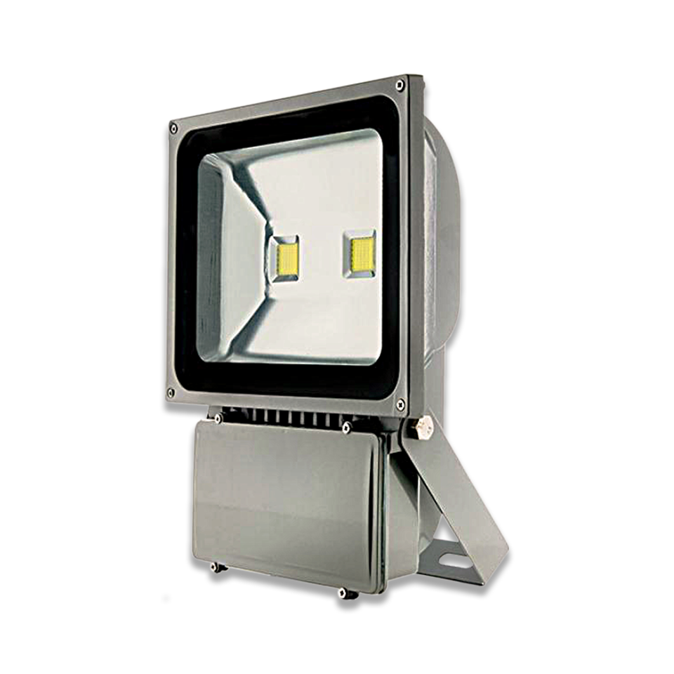 FOCO LED 100W
