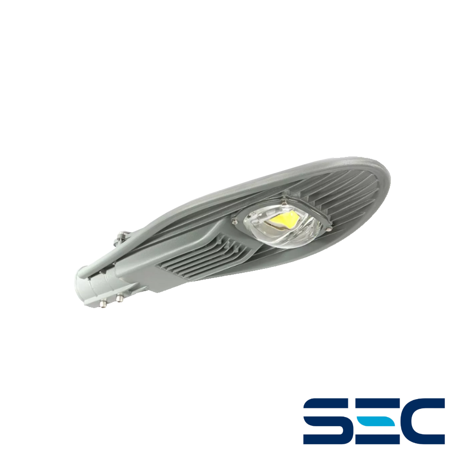 LUMINARIA PUBLICA 50W COB CON LUPA