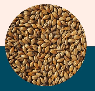 Amber Malt (Biscuit) - Crisp Malt1