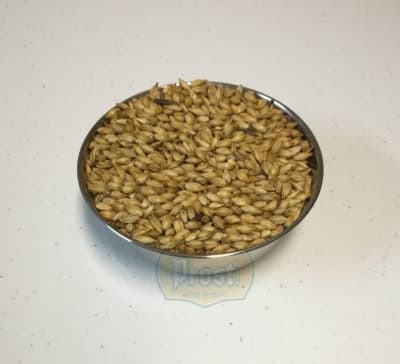 Malta Caramelo 240 EBC Patagonia Malt1