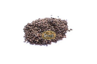 Cebada Tostada Castle Malting1