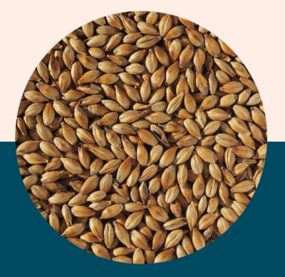 Extra Light Crystal 100 - Crisp Malt1