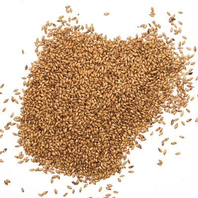 Malta Special B Castle Malting1