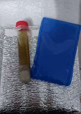 Bolsa térmica + hielo gel1