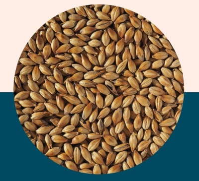 Light Crystal 150 - Crisp Malt1