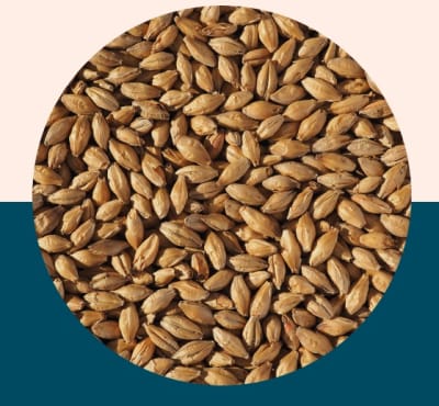 Light Munich - Crisp Malt1