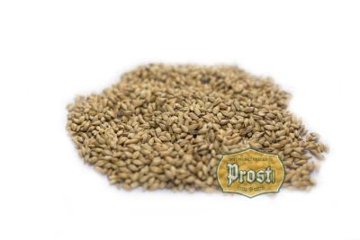 Malta Pale Ale Best Malt1