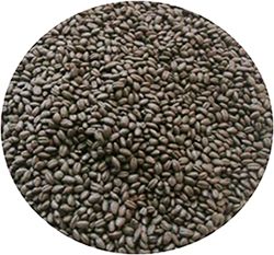 Perla Negra Patagonia Malt1