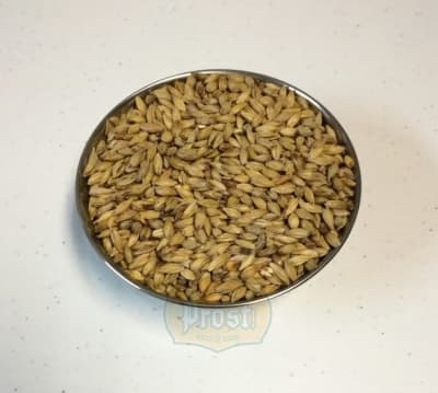 Malta Melanoidina Patagonia1