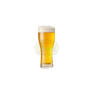 Kit Bohemian Pilsen 150L1