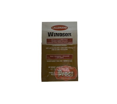 Levadura Lallemand Windsor English Ale Yeast, 11 g1