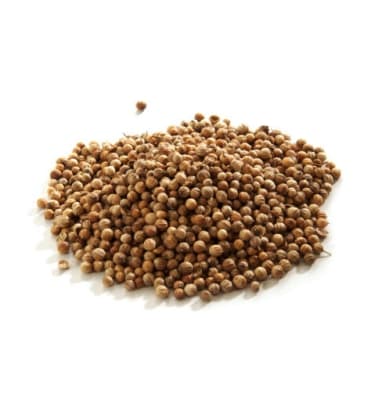 Semillas de cilantro1