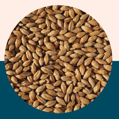 Vienna Malt - Crisp Malt1