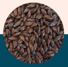 Black Malt (Black Patent) - Crisp Malt