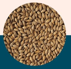 Clear Choice Pale Malt - Crisp Malt