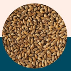 Dark Munich Malt - Crisp Malt