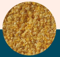 Flaked Torrefied Maize - Crisp Malt