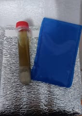 Bolsa térmica + hielo gel
