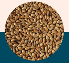 Light Crystal 150 - Crisp Malt