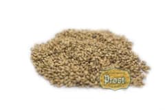 Malta Pale Ale Best Malt