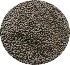 Perla Negra Patagonia Malt