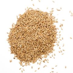 Malta Ahumada Weyermann