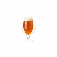 Kit Pale Ale Nacional 40L