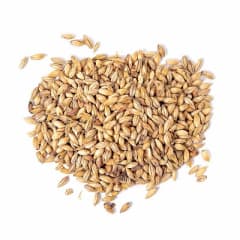 Malta Red X Best Malz