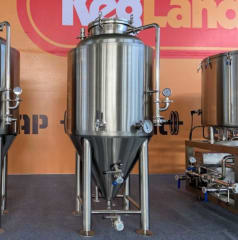 200L Conical Fermenter with Dimple Jacket and Insulation Unitank