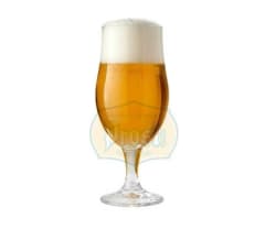 Kit American Pale Ale 23L (Brewzilla)