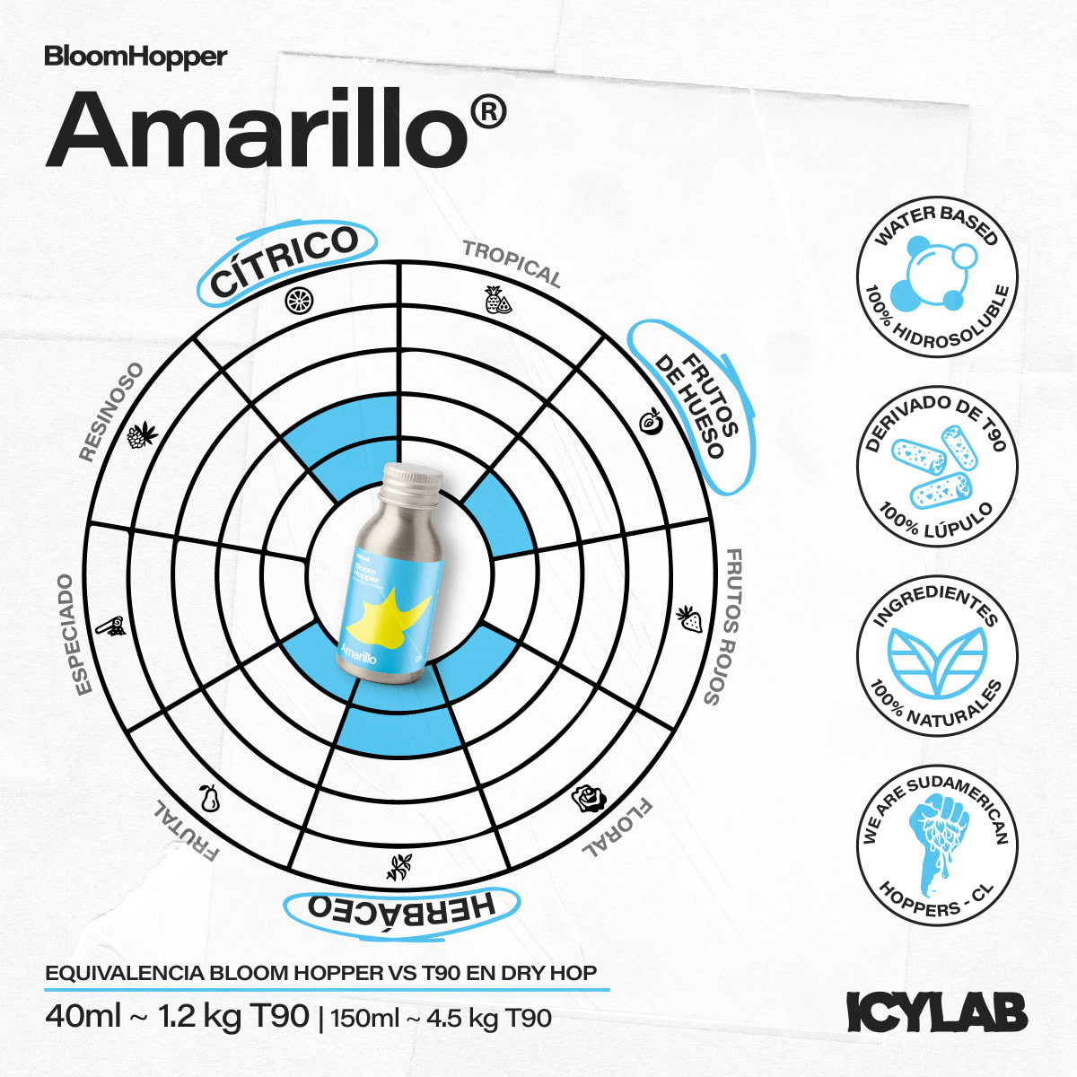 Bloom Hopper - Amarillo2