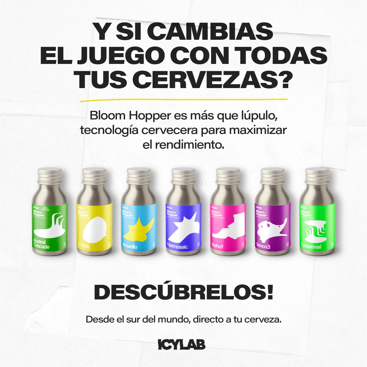 Bloom Hopper - C-tra3