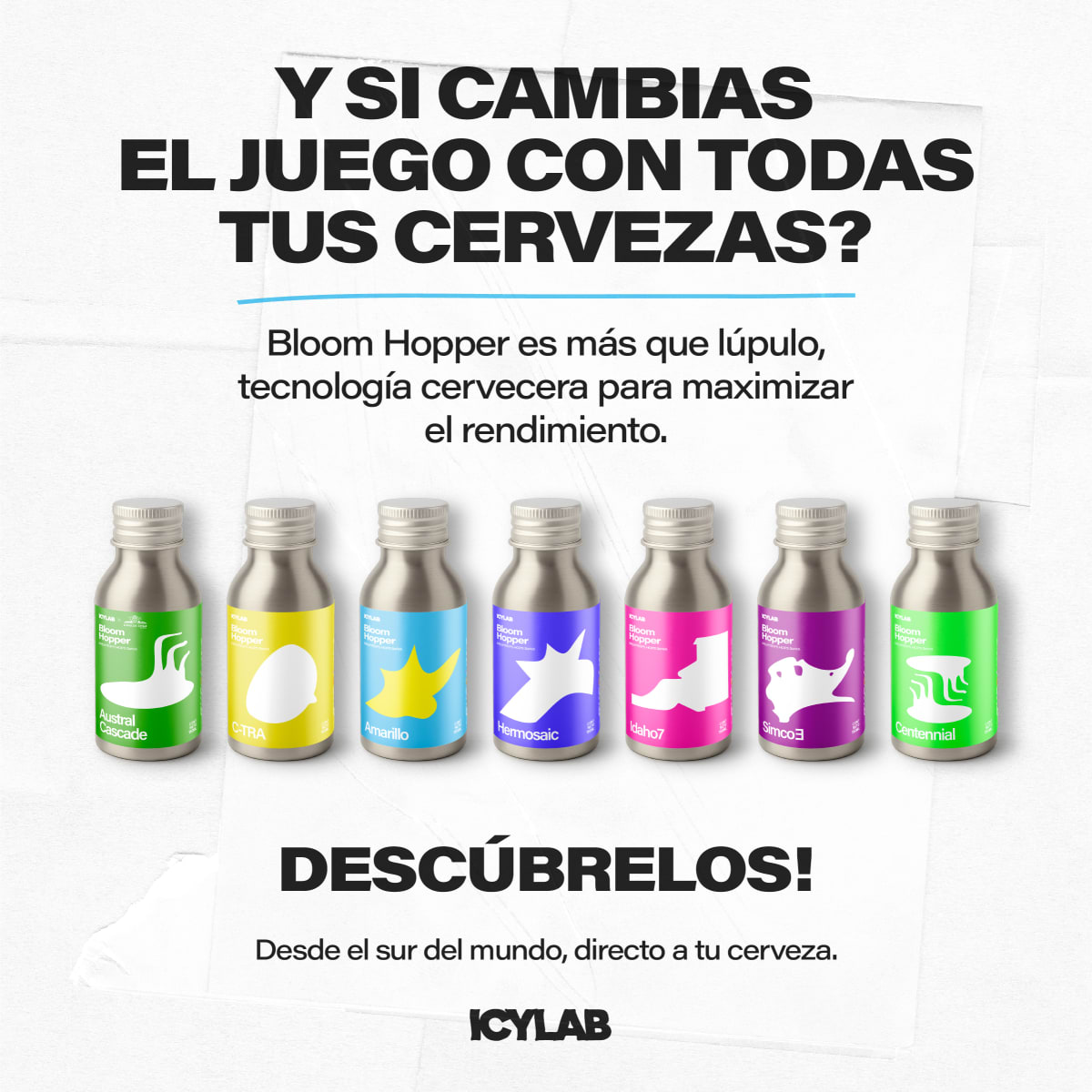 Bloom Hopper - Extracción de Amarillo1