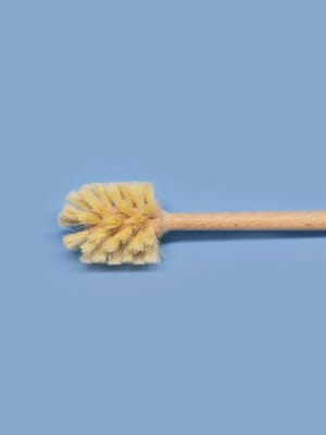 Escobilla de Baño