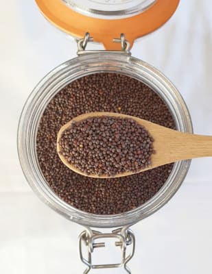 Mostaza Negra Entera 100 gramos