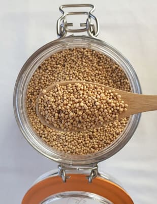 Mostaza Amarilla Entera 100 gramos