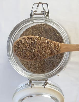 Eneldo Semilla 100 gramos1