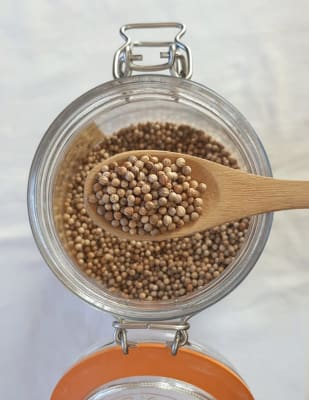 Cilantro Entero 50 gramos