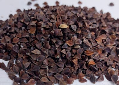 Trigo sarraceno orgánico 500g