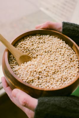 Cebada Perlada 1 Kilo