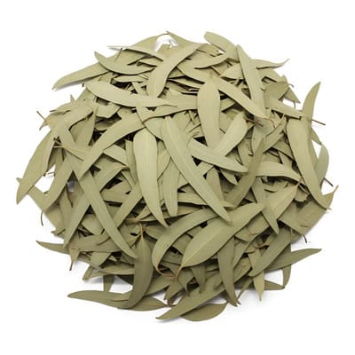 Eucalipto hoja 25g1